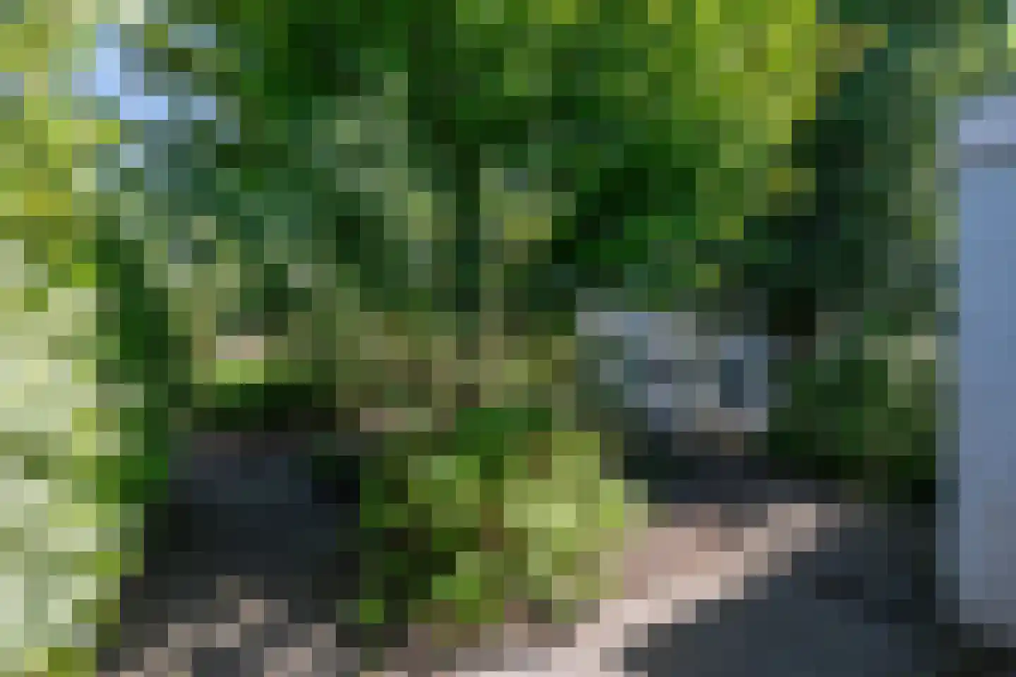 Hoefkestraat 14 Eindhoven thumbnail 50