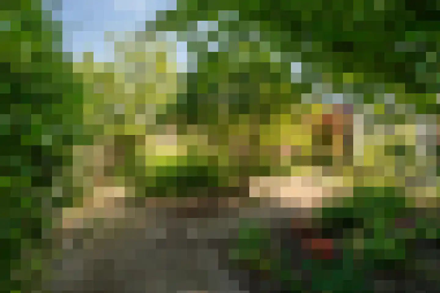 Hoefkestraat 14 Eindhoven thumbnail 51