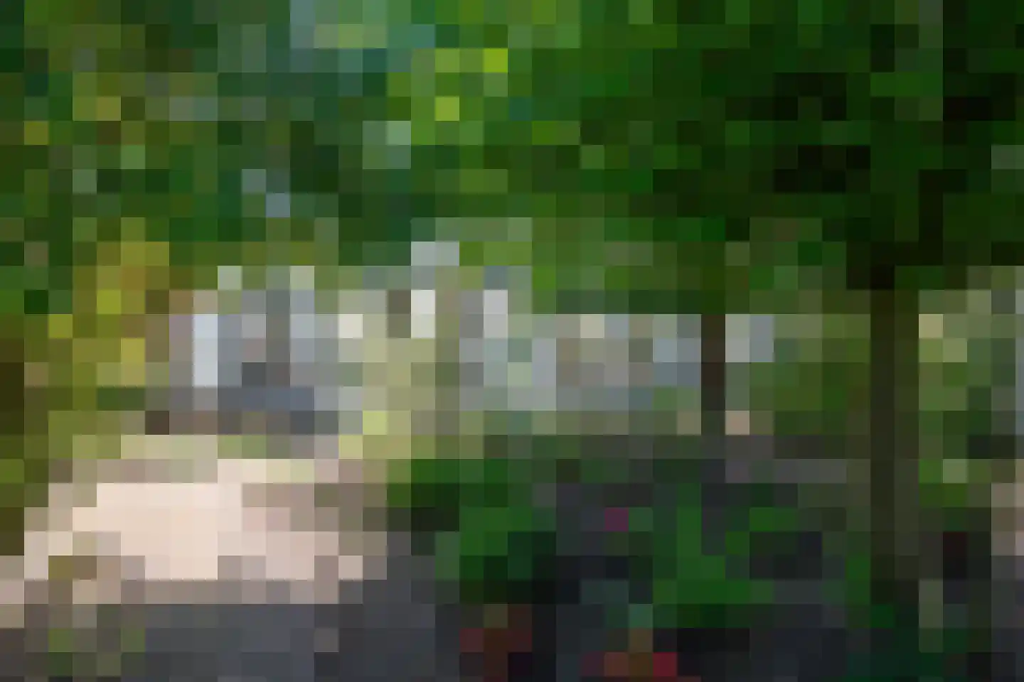 Hoefkestraat 14 Eindhoven thumbnail 52