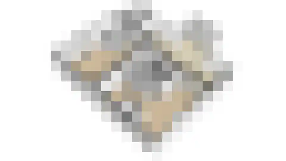 Hoefkestraat 14 Eindhoven thumbnail 56