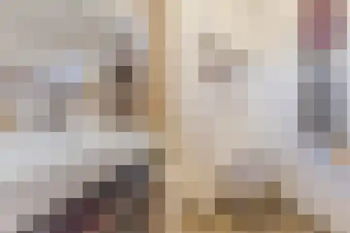 Hoefkestraat 27 Eindhoven thumbnail 33