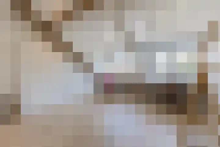 Hoefkestraat 27 Eindhoven thumbnail 34
