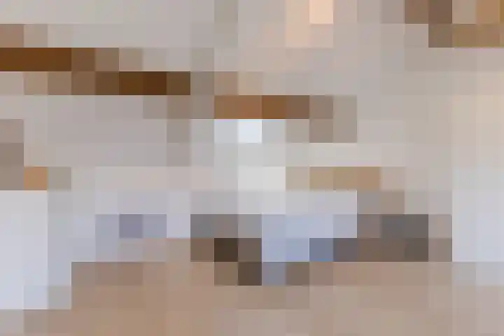 Hoefkestraat 27 Eindhoven thumbnail 37