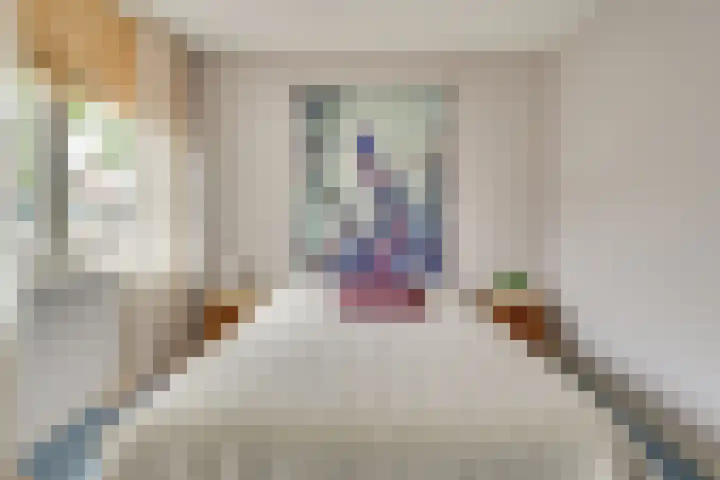 Hoefkestraat 3 B Eindhoven thumbnail 23