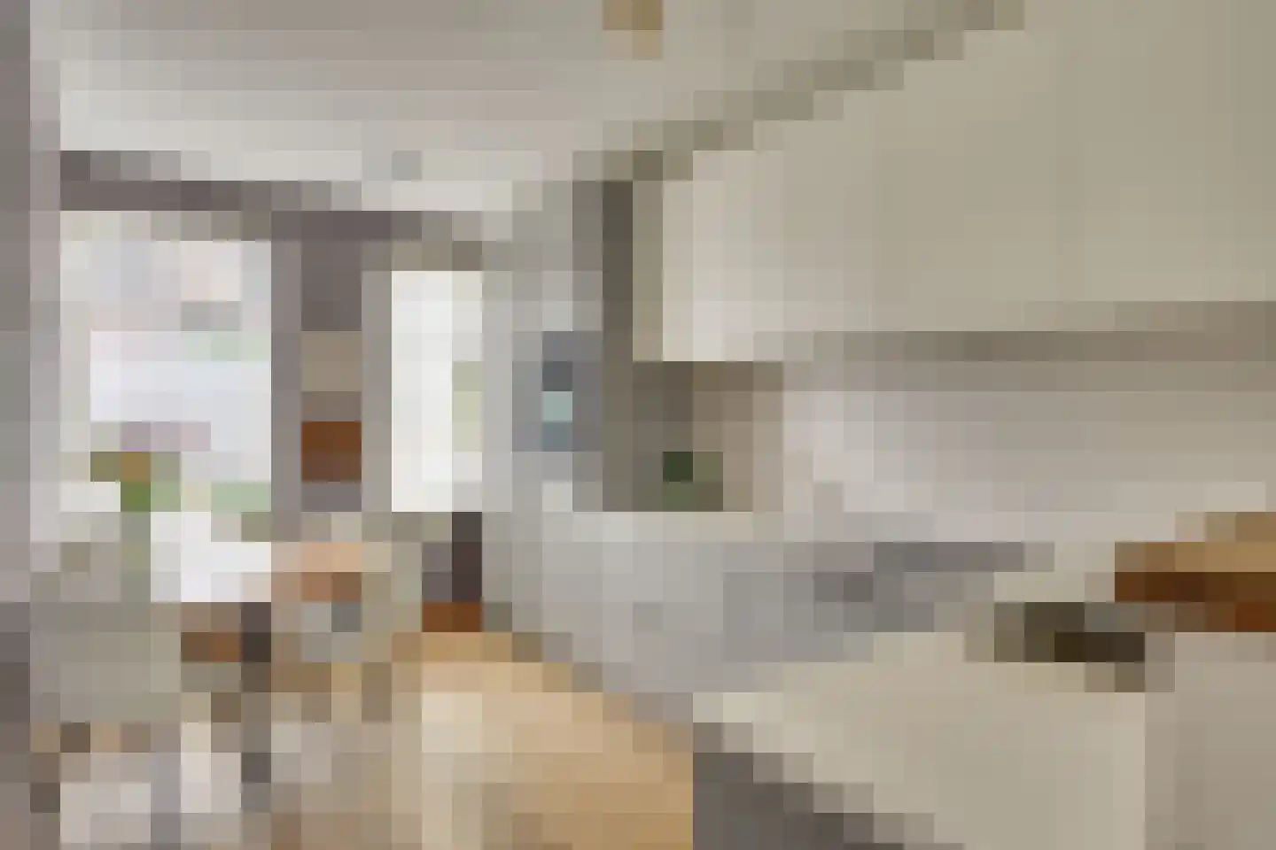 Hoefkestraat 3 B Eindhoven thumbnail 4