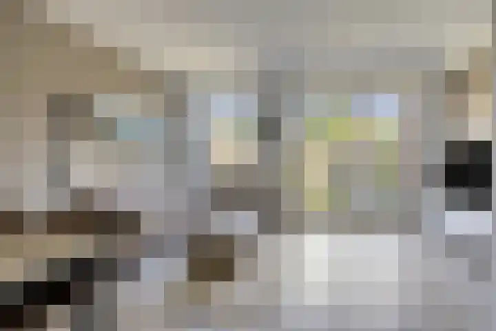 Hoefkestraat 5 Eindhoven thumbnail 10