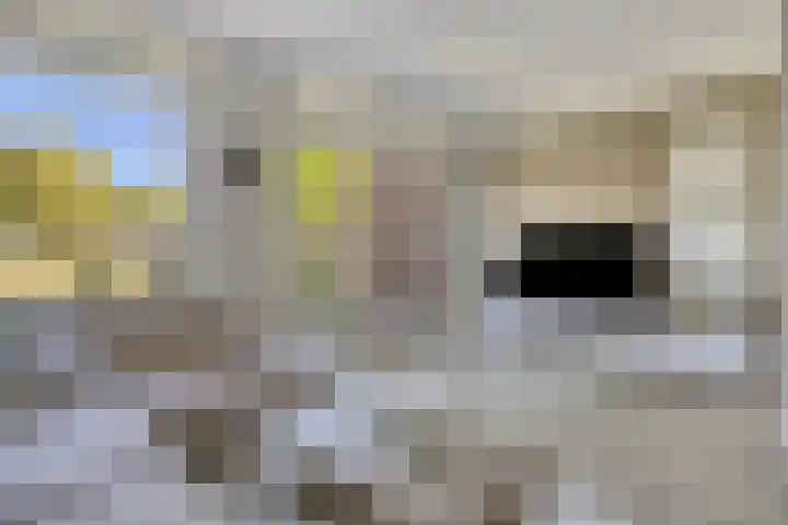 Hoefkestraat 5 Eindhoven thumbnail 11