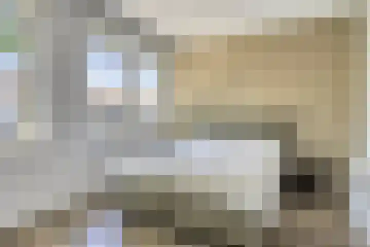Hoefkestraat 5 Eindhoven thumbnail 12