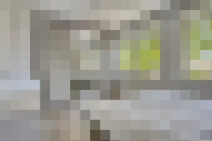 Hoefkestraat 5 Eindhoven thumbnail 13