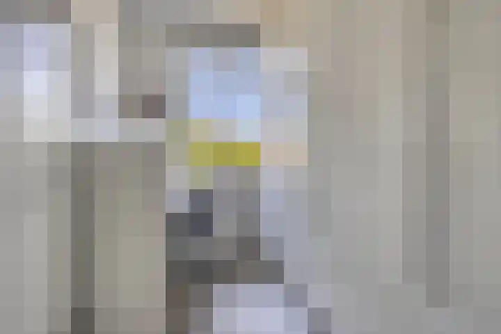 Hoefkestraat 5 Eindhoven thumbnail 14