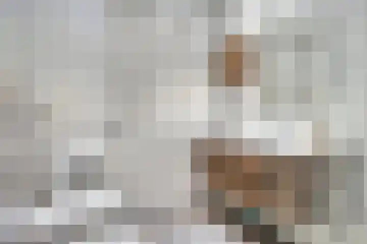 Hoefkestraat 5 Eindhoven thumbnail 17