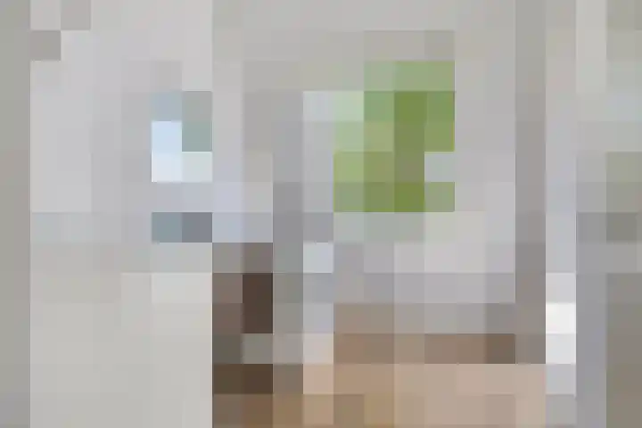 Hoefkestraat 5 Eindhoven thumbnail 20
