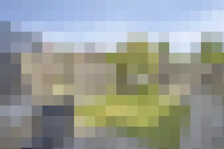 Hoefkestraat 5 Eindhoven thumbnail 24
