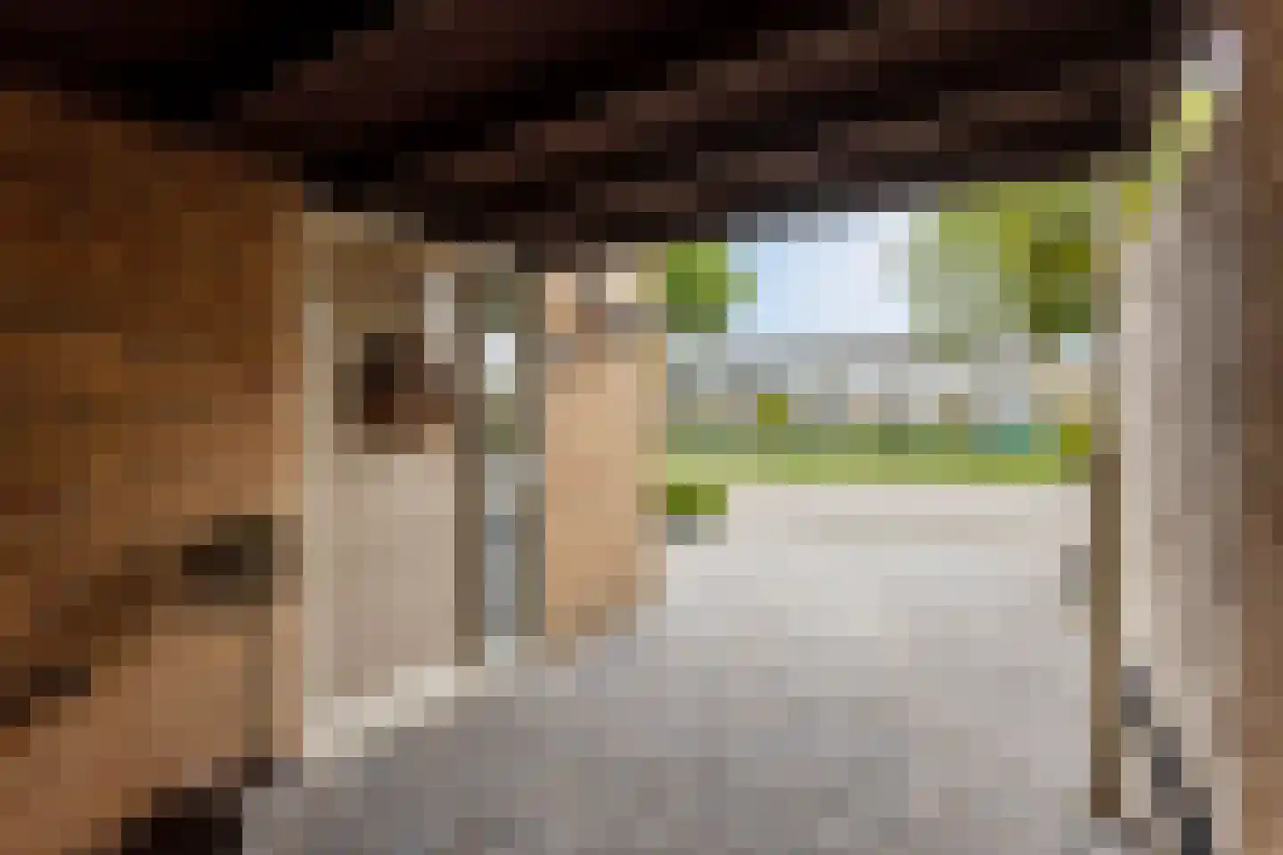 Hoeflaan 13 Ochten thumbnail 35