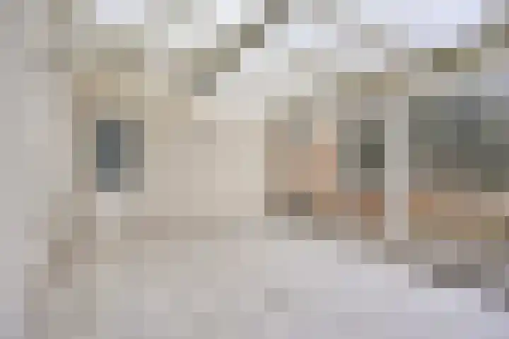 Hoeflaan 29 Ochten thumbnail 11