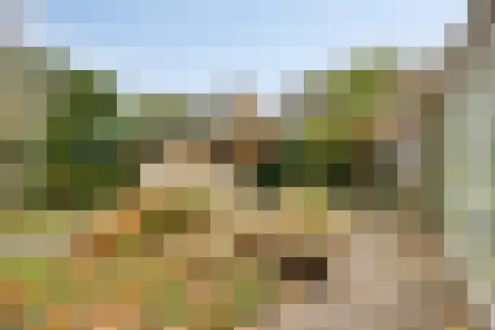 Hoeflaan 29 Ochten thumbnail 26