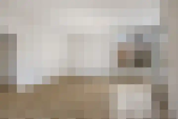 Hoeflaan 29 Ochten thumbnail 9