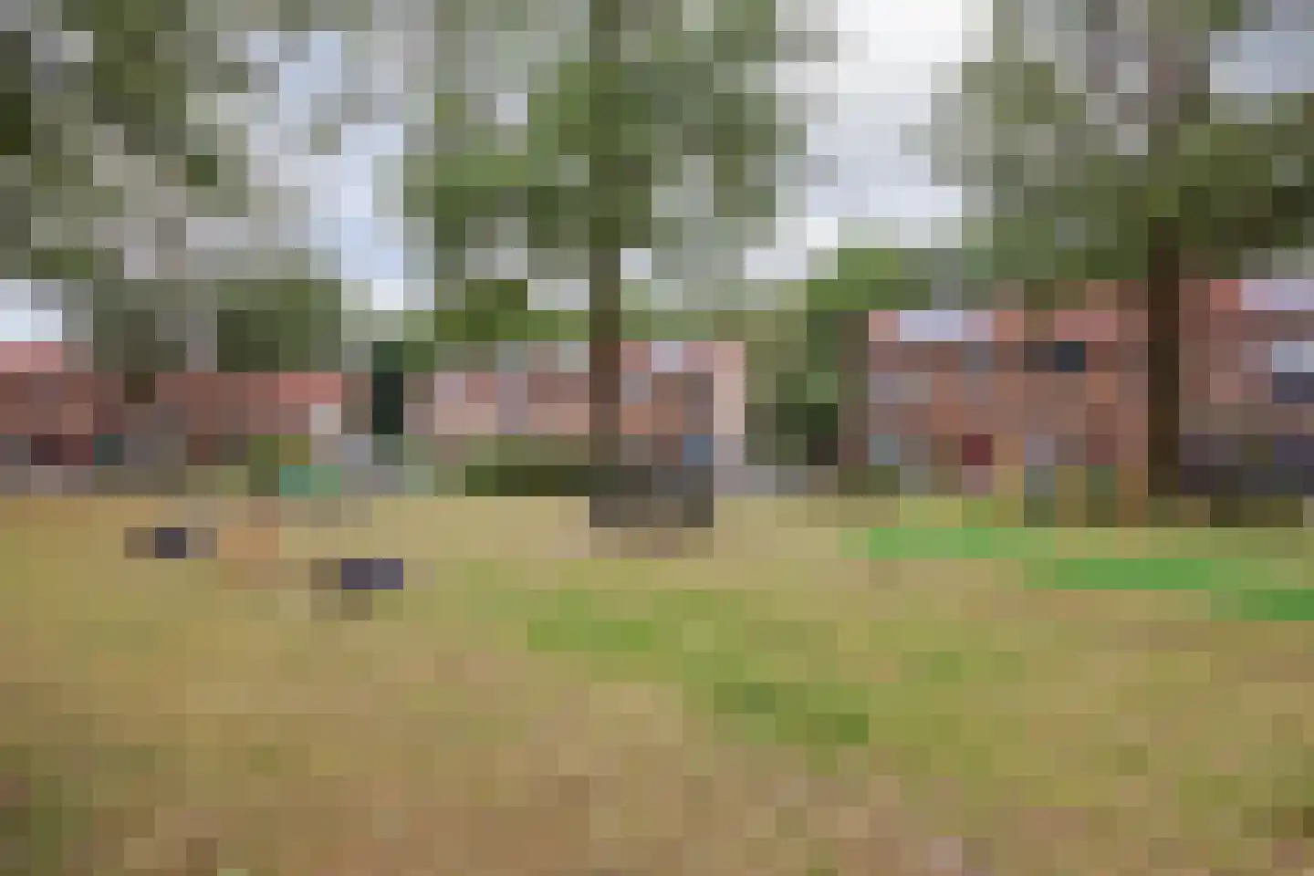 Hoefnagelsplein 3 Griendtsveen thumbnail 39