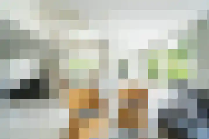 Hoefpad 1 B Arkel thumbnail 10