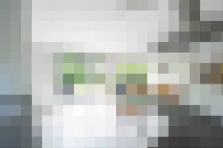 Hoefpad 1 B Arkel thumbnail 14