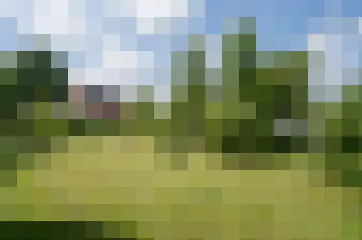 Hoefpad 1 B Arkel thumbnail 33