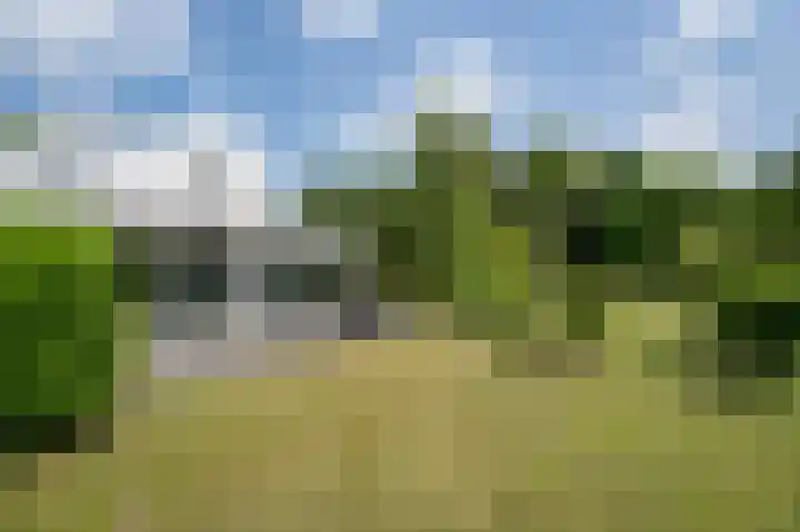 Hoefpad 1 B Arkel thumbnail 37