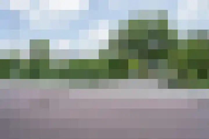 Hoefpad 1 B Arkel thumbnail 39