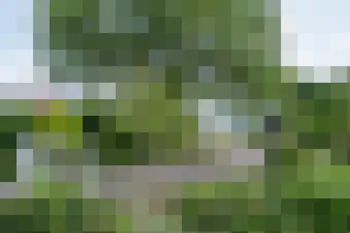 Hoefpad 1 B Arkel thumbnail 7