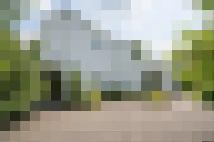 Hoefpad 1 B Arkel thumbnail 8