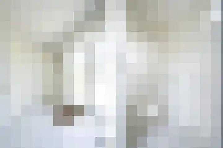 Hoefpad 1 B Arkel thumbnail 9