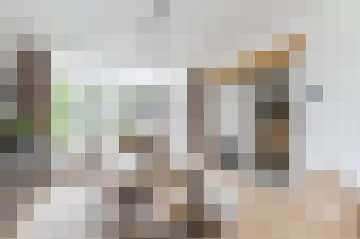 Hoefpad 1 Biest-Houtakker thumbnail 10