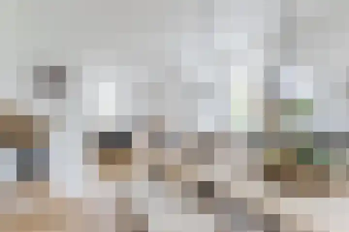 Hoefpad 1 Biest-Houtakker thumbnail 11