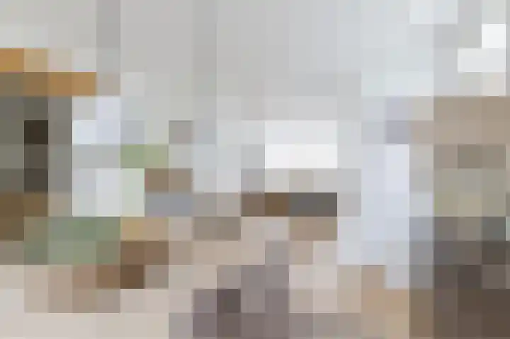Hoefpad 1 Biest-Houtakker thumbnail 12