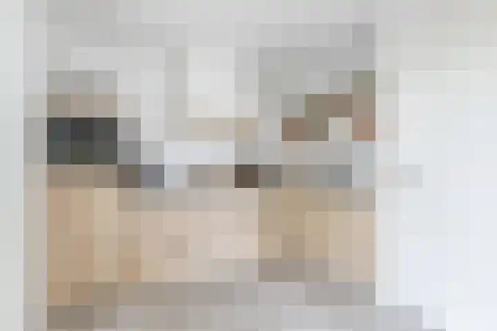 Hoefpad 1 Biest-Houtakker thumbnail 13