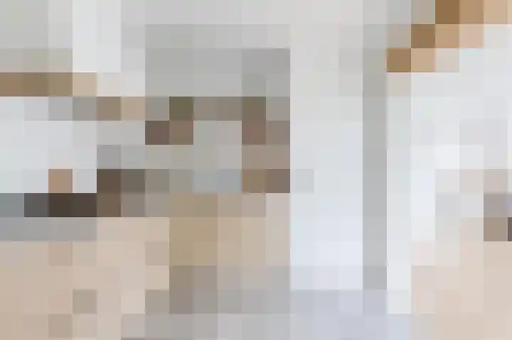 Hoefpad 1 Biest-Houtakker thumbnail 14