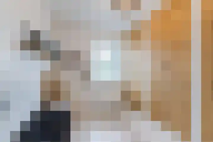 Hoefpad 1 Biest-Houtakker thumbnail 19