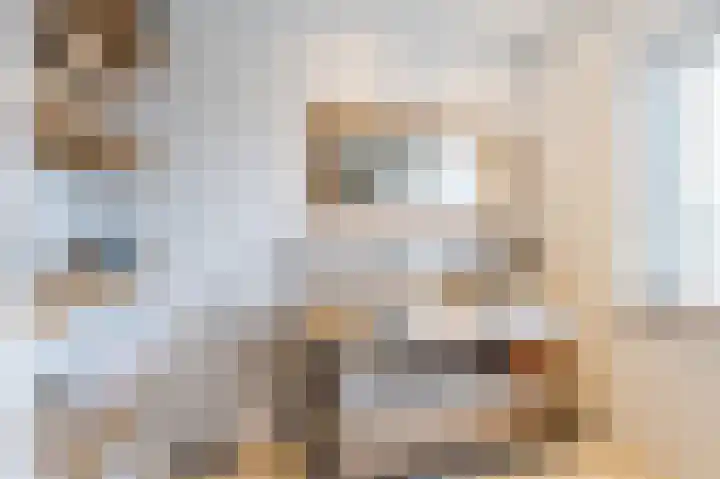 Hoefpad 1 Biest-Houtakker thumbnail 21