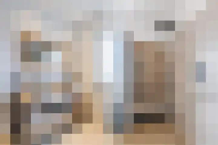 Hoefpad 1 Biest-Houtakker thumbnail 22