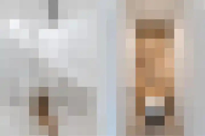 Hoefpad 1 Biest-Houtakker thumbnail 23