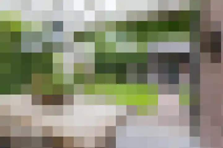 Hoefpad 1 Biest-Houtakker thumbnail 27