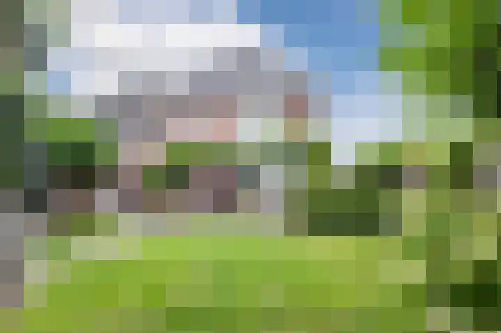 Hoefpad 1 Biest-Houtakker thumbnail 28