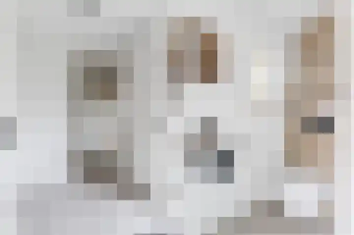 Hoefpad 1 Biest-Houtakker thumbnail 6