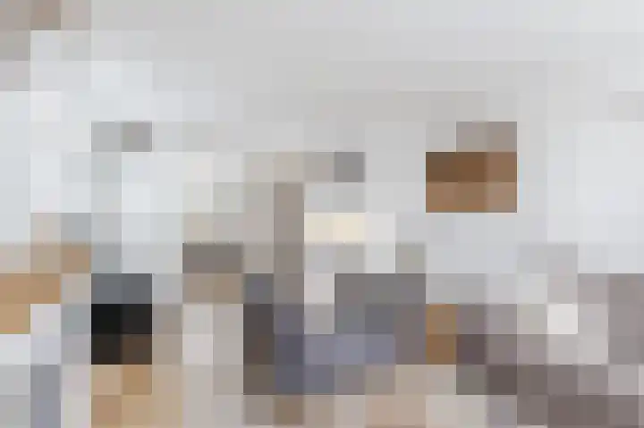 Hoefpad 1 Biest-Houtakker thumbnail 9