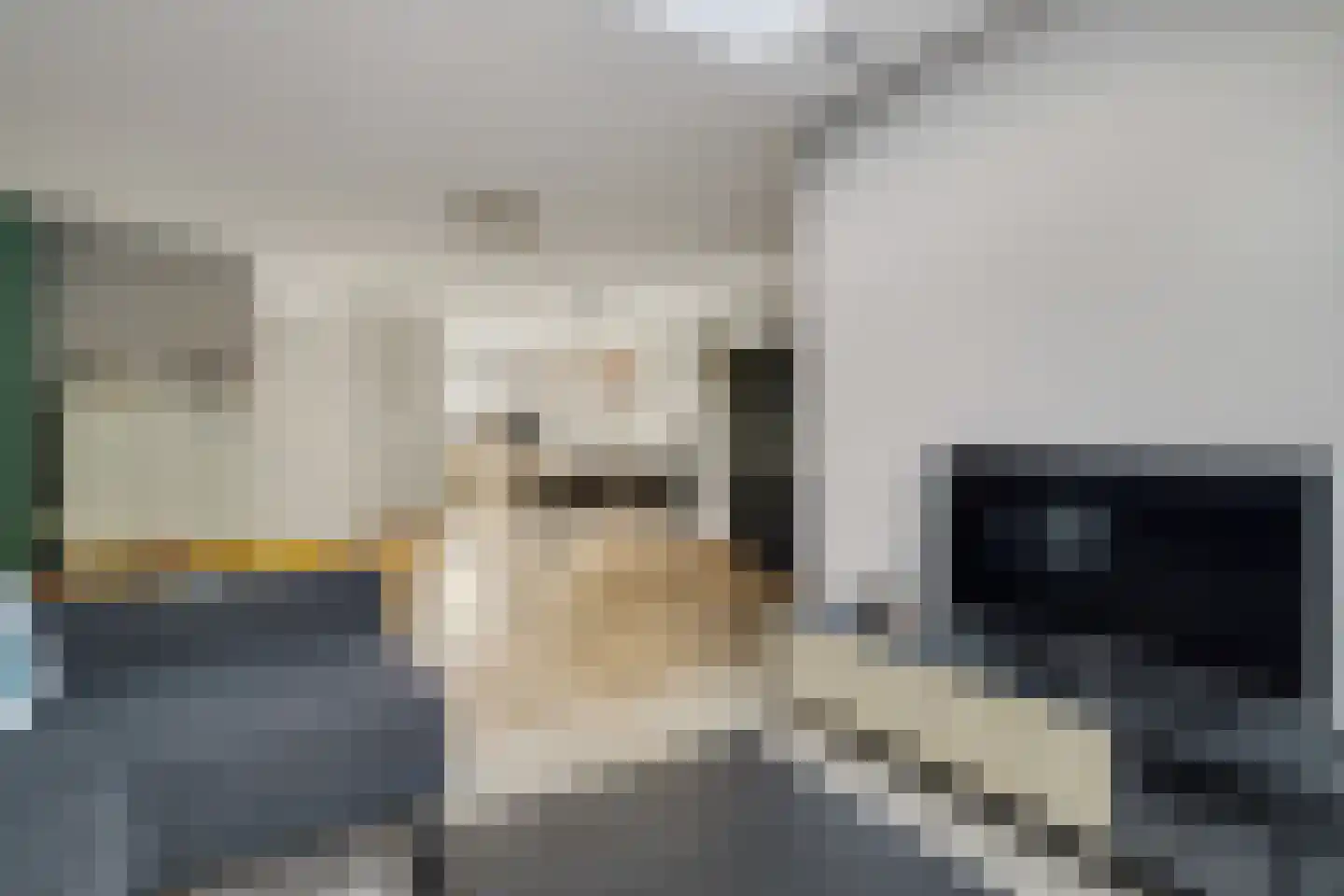 Hoefpad 8 Biest-Houtakker thumbnail 10
