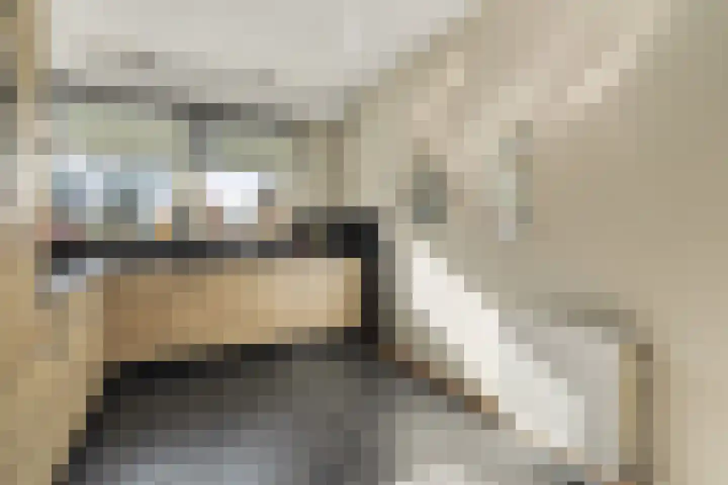 Hoefpad 8 Biest-Houtakker thumbnail 12