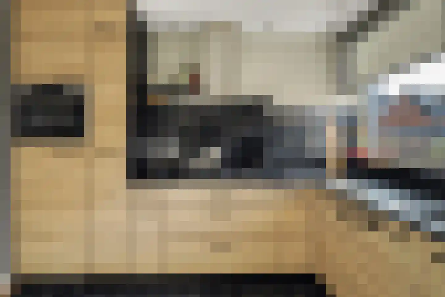 Hoefpad 8 Biest-Houtakker thumbnail 13