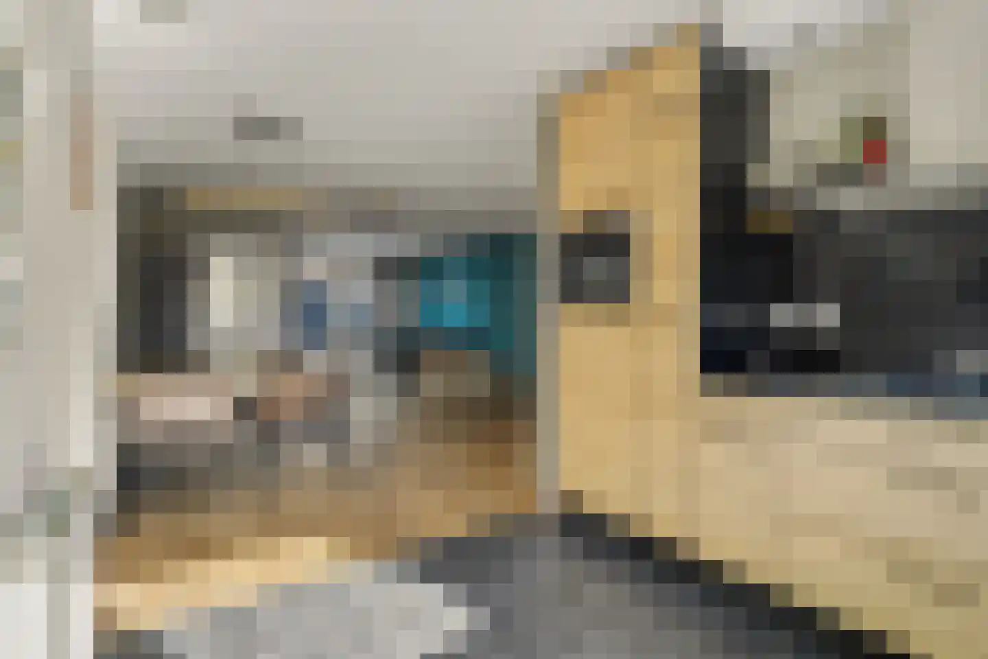 Hoefpad 8 Biest-Houtakker thumbnail 14