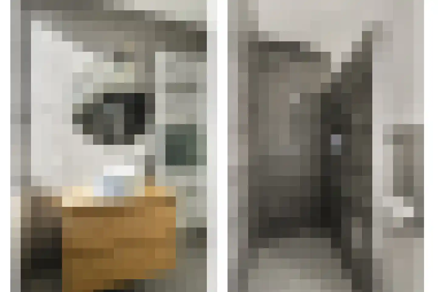 Hoefpad 8 Biest-Houtakker thumbnail 17