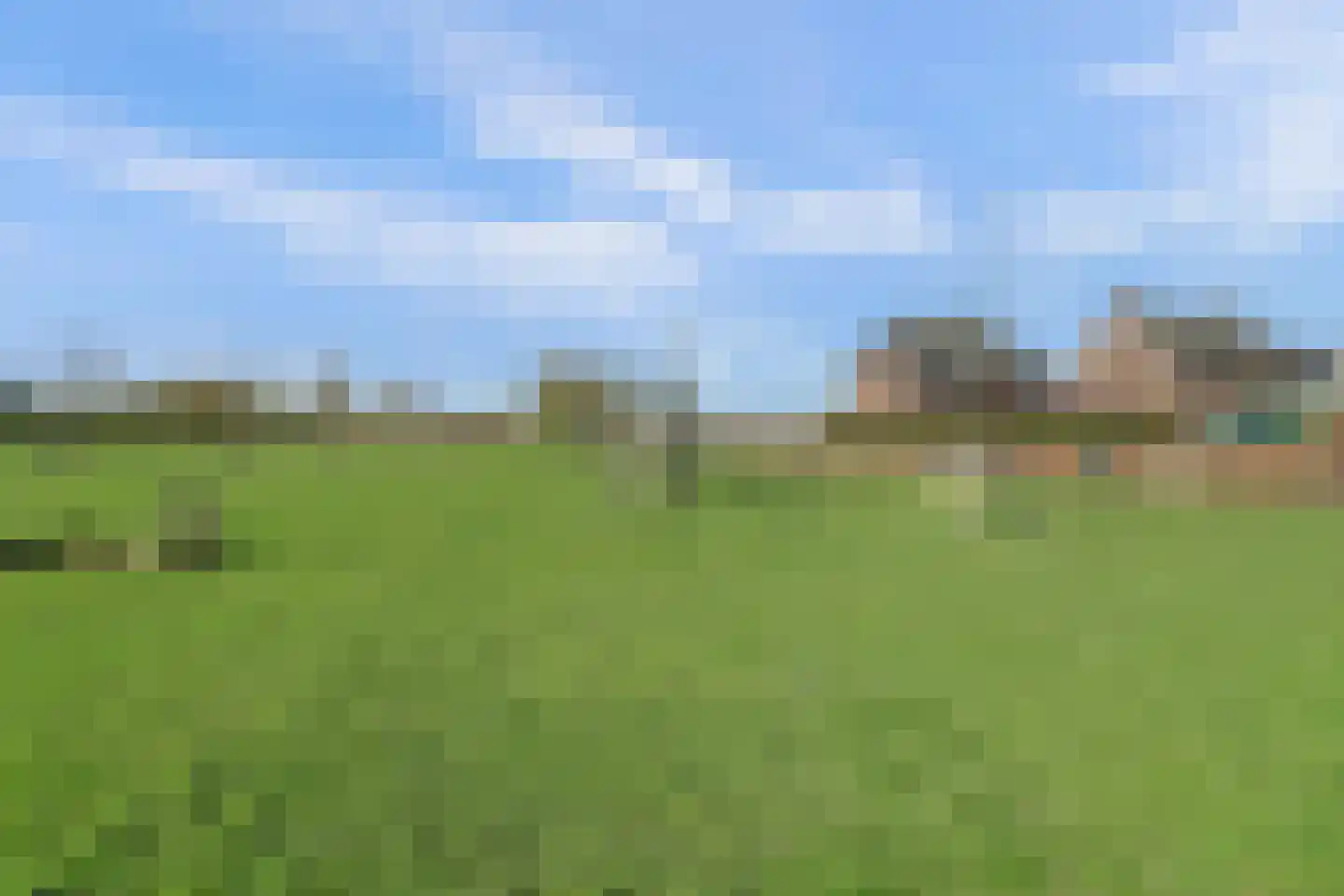 Hoefpad 8 Biest-Houtakker thumbnail 28