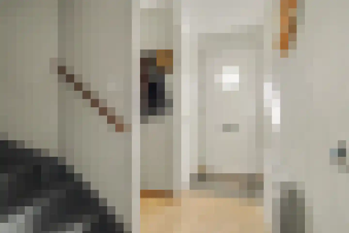 Hoefpad 8 Biest-Houtakker thumbnail 7
